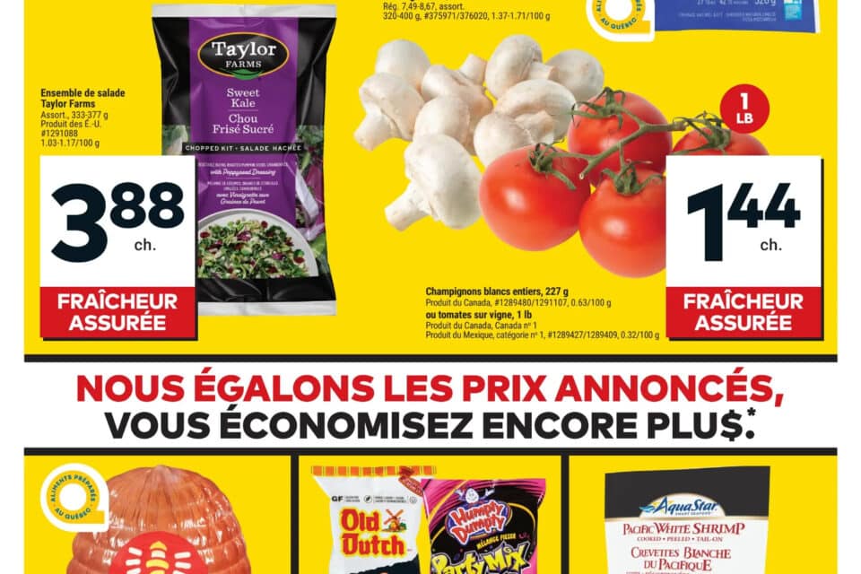 Circulaire Tigre Géant