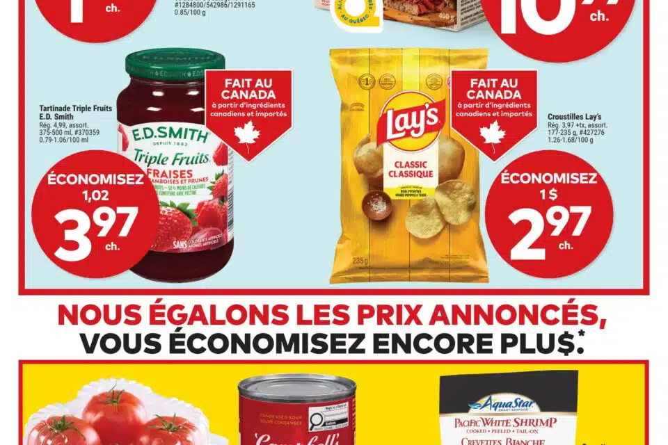 Circulaire Tigre Géant